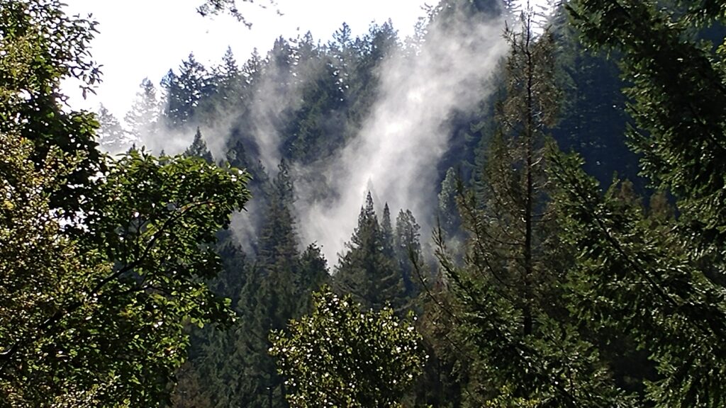 Spirit Rising | Ben Lomond Quaker Center